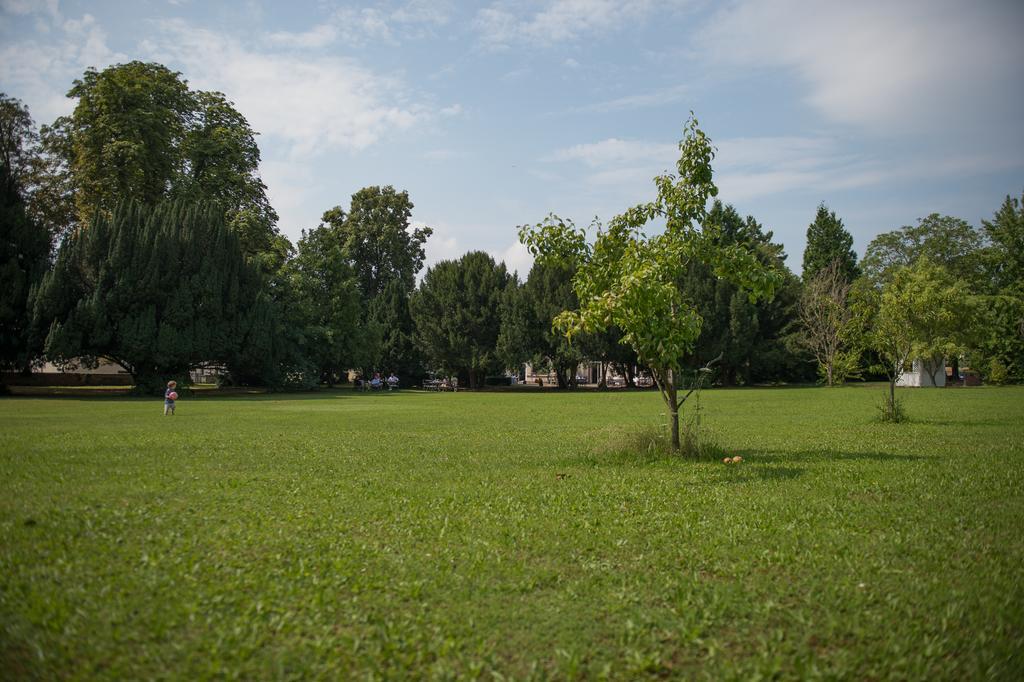 Parkhotel Tillmanns Eltville am Rhein ภายนอก รูปภาพ